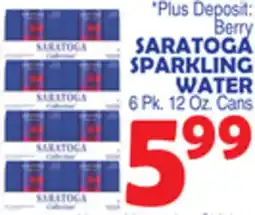 Bravo Supermarkets SARATOGA SPARKLING WATER offer
