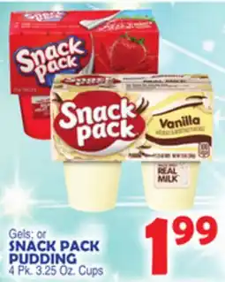 Bravo Supermarkets SNACK PACK PUDDING offer