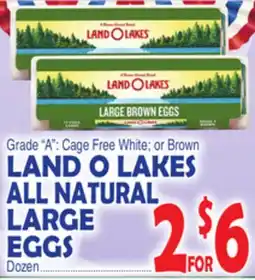 Bravo Supermarkets LAND O LAKES ALL NATURAL LARGE EGGS offer