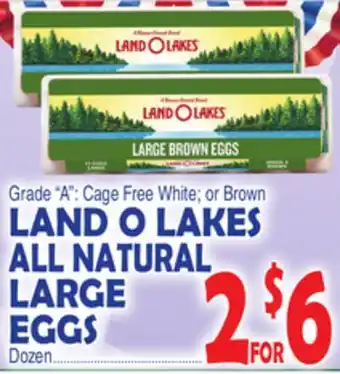 Bravo Supermarkets LAND O LAKES ALL NATURAL LARGE EGGS offer