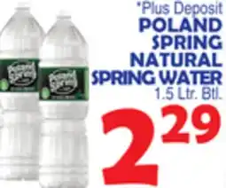 Bravo Supermarkets POLAND SPRING NATURAL SPRING WATER offer
