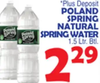 Bravo Supermarkets POLAND SPRING NATURAL SPRING WATER offer