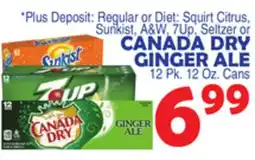 Bravo Supermarkets CANADA DRY GINGER ALE 12 Pk. 12 Oz. Cans offer