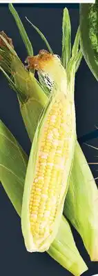 Weis Markets In-Husk Sweet Corn offer