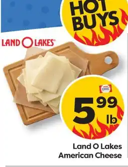 Weis Markets Land O Lakes American Cheese offer