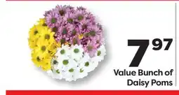 Weis Markets Value Bunch of Daisy Poms offer