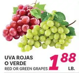 El Paso Grande UVA ROJAS O VERDE offer