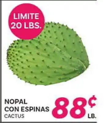 El Paso Grande NOPAL CON ESPINAS offer
