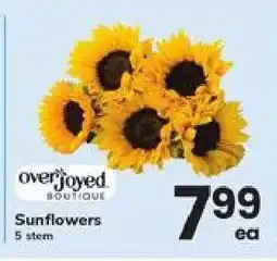 Safeway Sunflowers offer