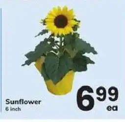 Safeway Sunflower offer