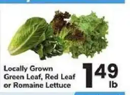 Safeway Locally Grown Lettuce offer