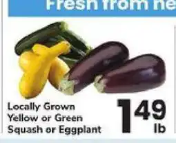 Safeway Locally Grown Yellow or Green Squash or Eggplant offer