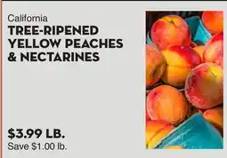 Bristol Farms California TREE-RIPENED YELLOW PEACHES & NECTARINES offer