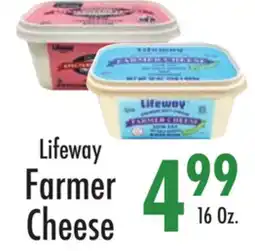 Garden Fresh Market Lifeway Farmer Cheese offer