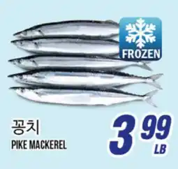 Joong Boo Market PIKE MACKEREL offer