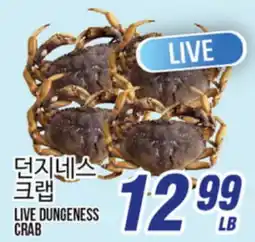 Joong Boo Market LIVE DUNGENESS CRAB offer