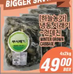 Joong Boo Market WINTER GROWN CABBAGE offer