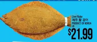 Hmart Live Fluke offer