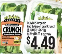 Hmart OLIVIA'S Organic Red & Green Leaf Crunch offer