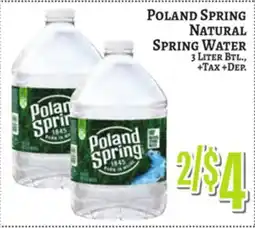 Trade Fair Supermarket POLAND SPRING NATURAL SPRING WATER offer