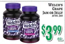 Trade Fair Supermarket WELCH'S GRAPE JAM OR JELLY offer