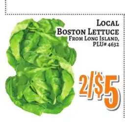 Trade Fair Supermarket LOCAL BOSTON LETTUCE FROM LONG ISLAND offer