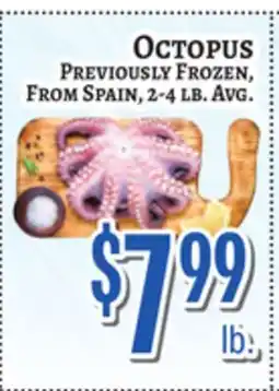 Trade Fair Supermarket Octopus offer