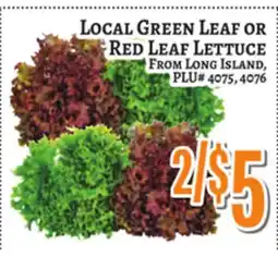 Trade Fair Supermarket LOCAL GREEN LEAF OR RED LEAF LETTUCE offer