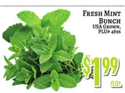 Trade Fair Supermarket FRESH MINT BUNCH offer