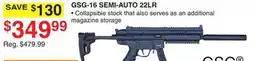 Dunham's Sports GSG-16 SEMI-AUTO 22LR offer