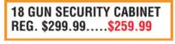 Dunham's Sports 18 GUN SECURITY CABINET offer