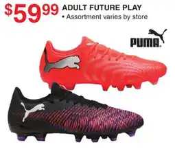 Dunham's Sports PUMA ADULT FUTURE PLAY offer