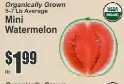 Key Food Mini Watermelon offer