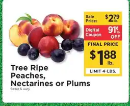 ShopRite Tree Ripe Peaches, Nectarines or Plums offer