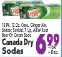 Marino's Supermarket Canada Dry Sodas offer