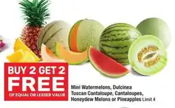 Albertsons Mini Watermelons, Dulcinea Tuscan Cantaloupe, Cantaloupes, offer