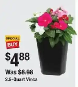The Home Depot 2.5-Quart Vinca offer