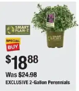 The Home Depot Exclusive 2-gallon perennials offer