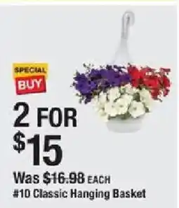 The Home Depot #10 Classic Hanging Basket offer