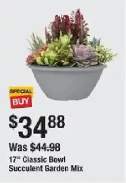 The Home Depot 17" Classic Bow! Succulent Garden Mix offer