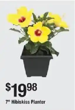The Home Depot 7" Hibiskiss Planter offer