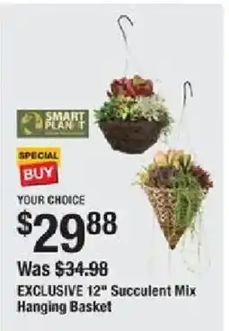 The Home Depot Exclusive 12" succulent mix hanging basket offer
