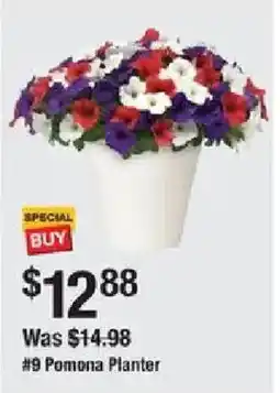 The Home Depot #9 Pomona Planter offer