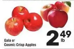 Albertsons Gala or Cosmic Crisp Apples offer