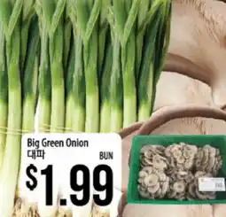 Hmart Big Green Onion offer