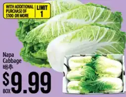 Hmart Napa Cabbage offer