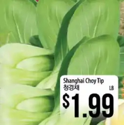 Hmart Shanghai Choy Tip offer