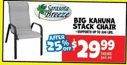 Ollie's SARASOTA BREEZE BIG KAHUNA STACK CHAIR offer