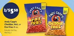 Family Dollar Andy Capp's Cheddar, Hot, or Fire Fries offer