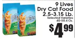 Supremo Foods Inc 9 Lives Dry Cat Food offer